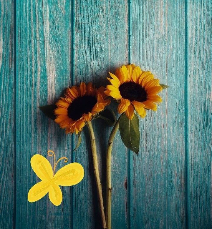 Entre fortalezas y críticas: el espejo de ser mujer